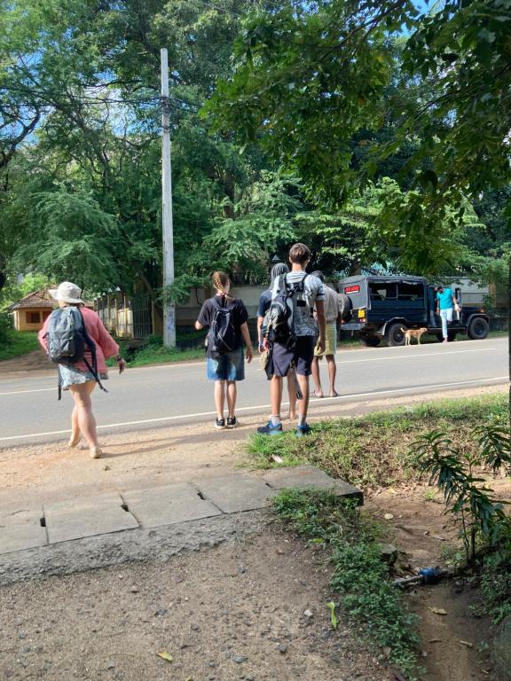 Dambulla Sun Vsh Holiday - 17