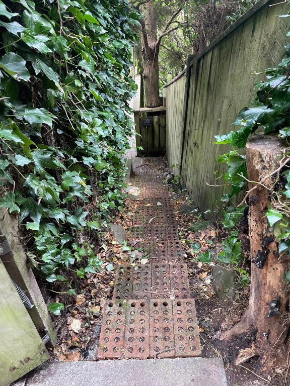 tranquil 3brms bush cabin - Resim 29