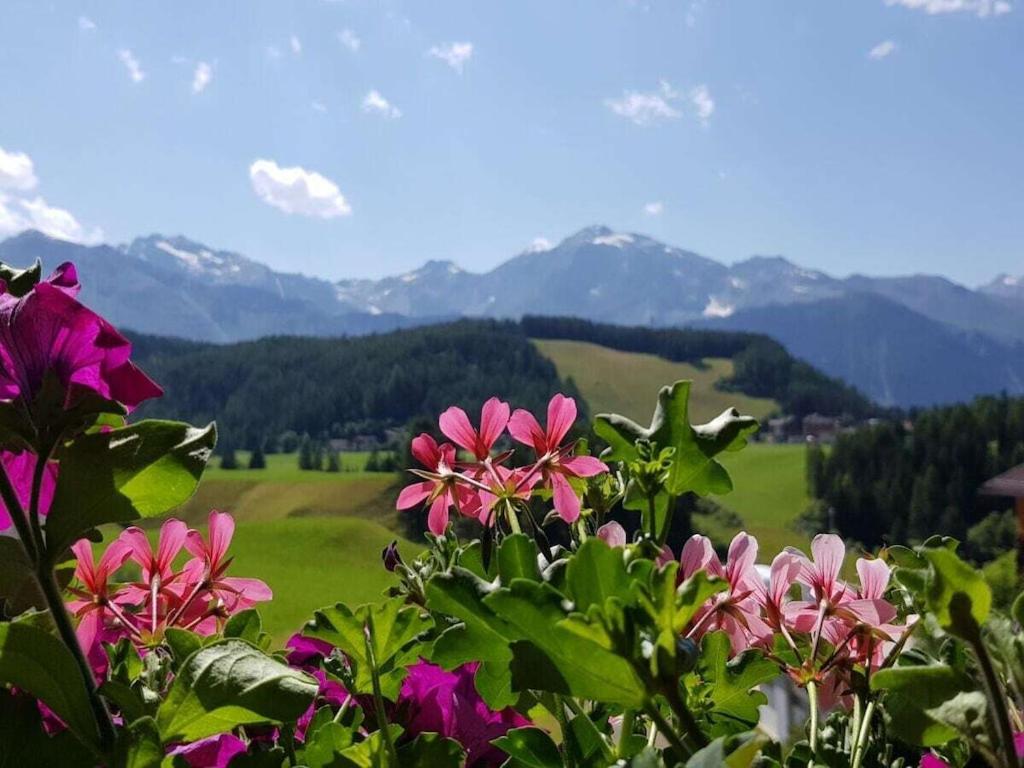 a bunch of flowers in a field with mountains at Edelweiss Riding stable Alpine Appart in Umhausen