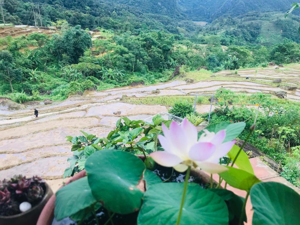 OH Pu Luong Homestay - 5