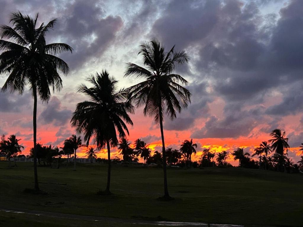 a group of palm trees in front of a sunset at Tropical Oasis! 5BR Luxe Home in Dorado