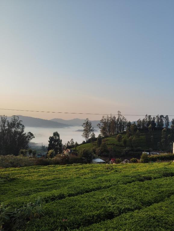 a green field with a view of the hills at Valley homes in Ooty