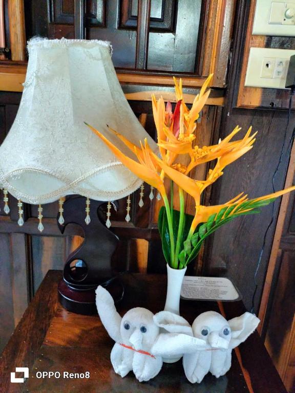 Herbal Resort & Spa - 14