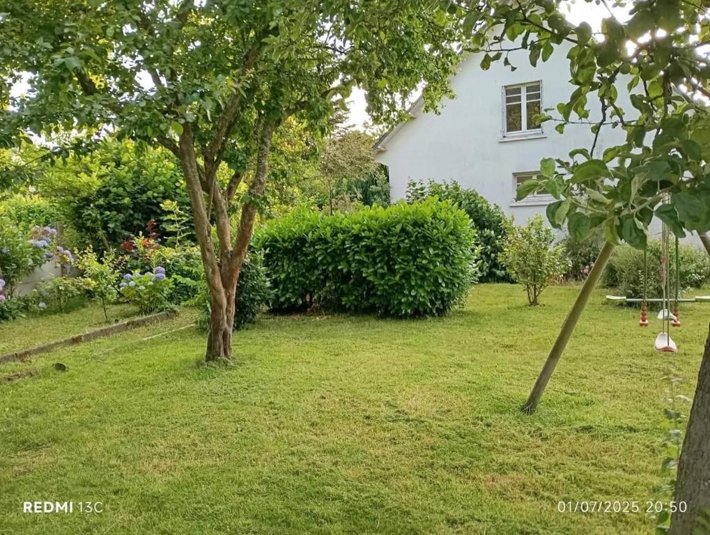 una casa blanca con un árbol en un patio en La maison "Ty Lichoux", en Plouha