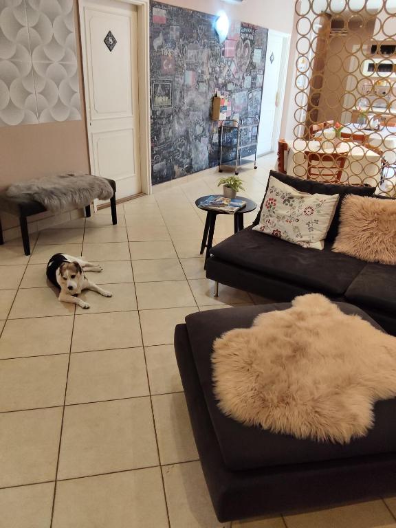 Ein Hund liegt auf dem Boden in einem Wohnzimmer. in der Unterkunft BI&BI in Budapest