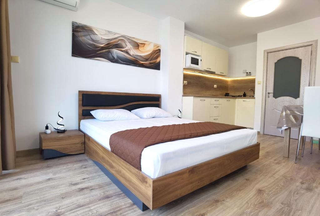 ヴァルナ・シティにあるCabacum Pleasure Beachfront Apartmentsの大きなベッドとキッチンのある寝室