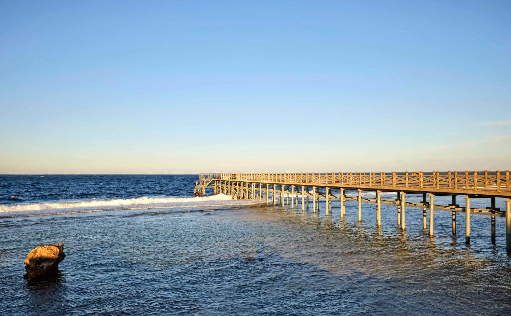 Steigenberger Resort Alaya Marsa Alam - Red Sea - Adults Friendly 16 Years Plus - 19