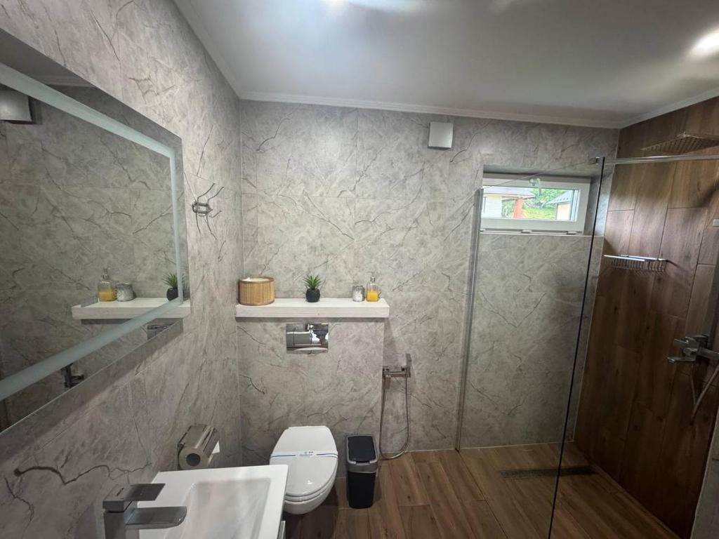 a bathroom with a shower and a toilet and a sink at Family House Volosianka in Volosyanka