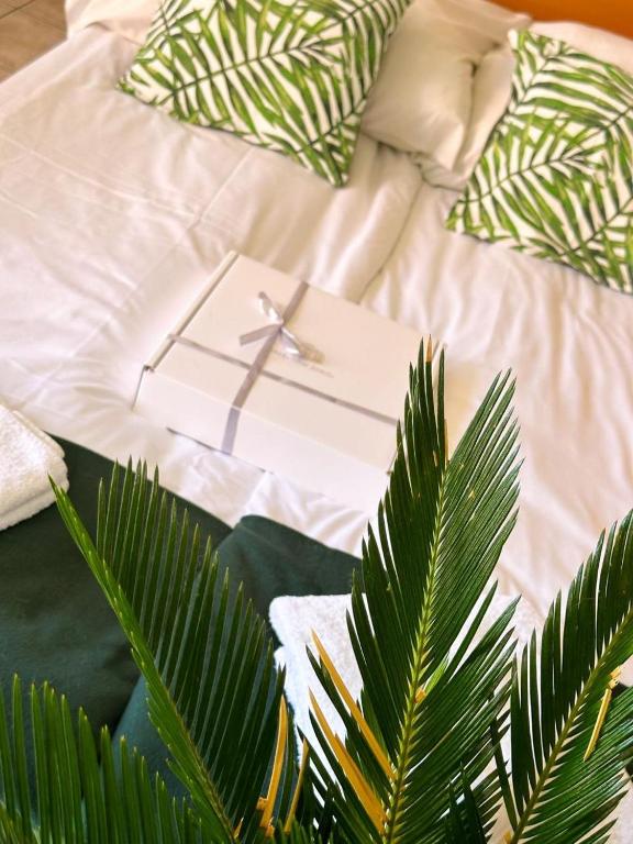 Kokosek Pokoje Gościnne - 8