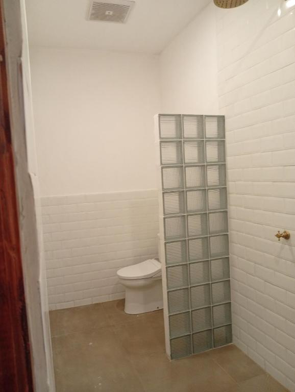 tipsea turtle, günstige bungalows gili air