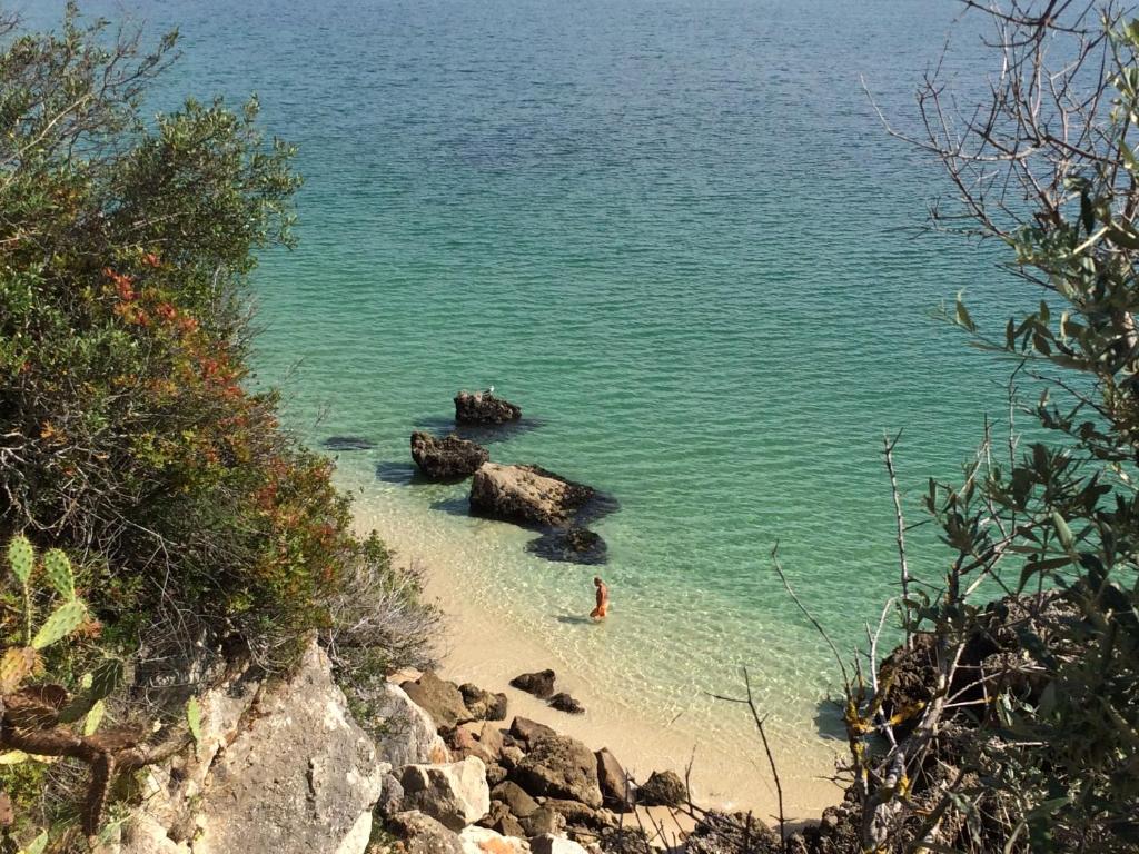a person standing in the water on a beach at Ha Mar ao Luar in Setúbal
