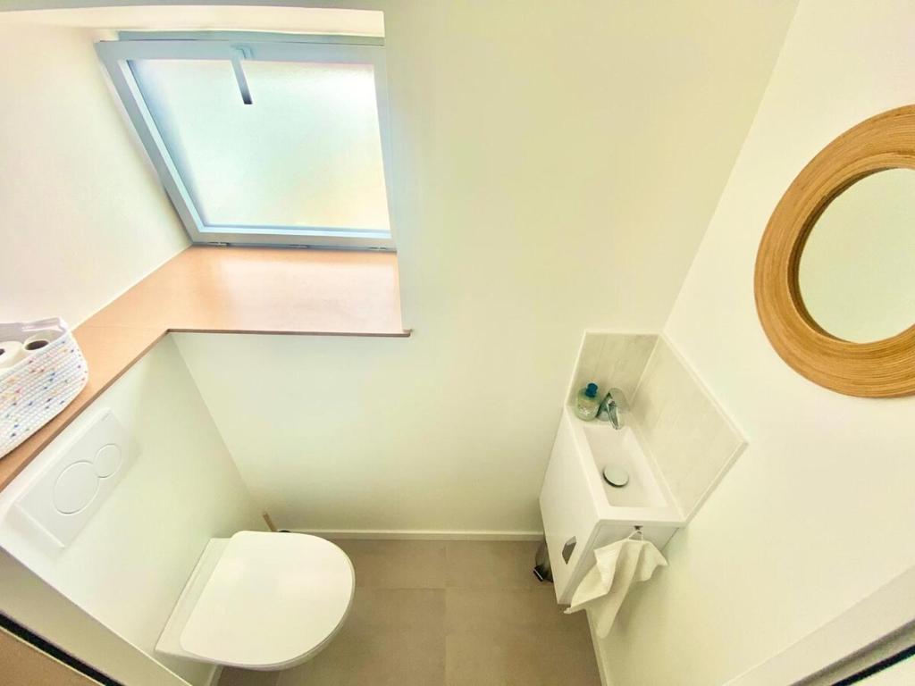 a small bathroom with a toilet and a mirror at La Chaumière en bord de mer in Trégastel