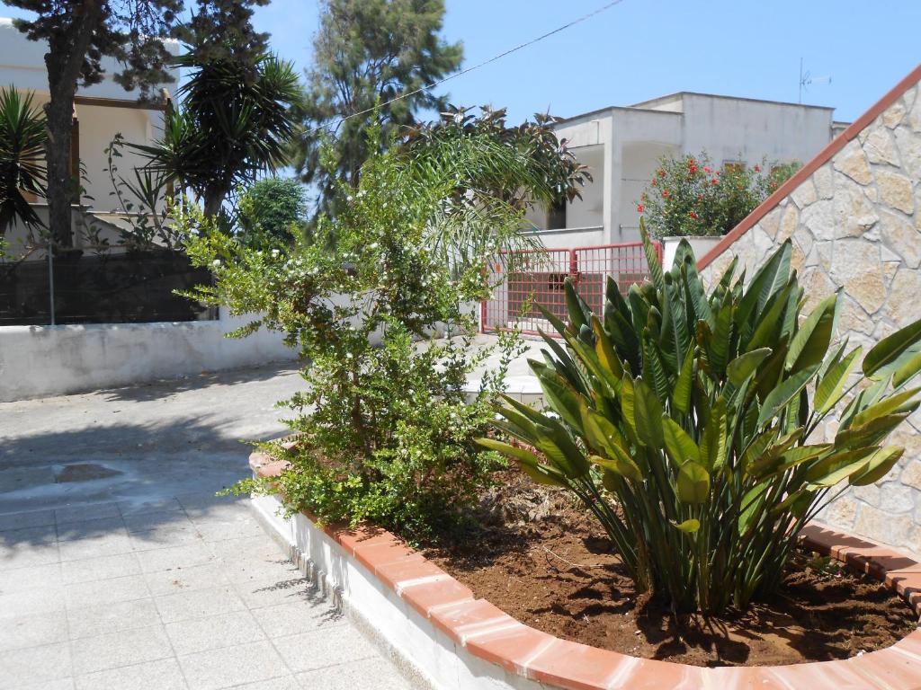 a garden with a plant in a curb at Residence Stefano in Marina di Mancaversa