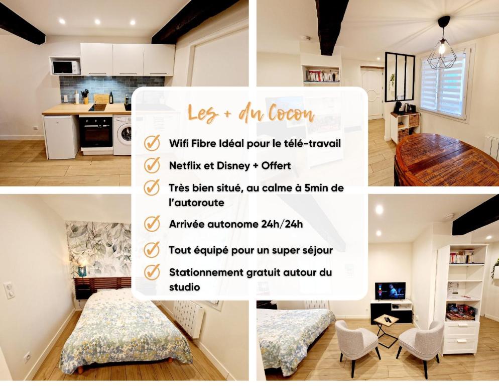 a collage of four pictures of a kitchen and a room at Studio fonctionnel avec Wi-Fi idéal séjour Pro ou à deux in Cailloux-sur-Fontaines