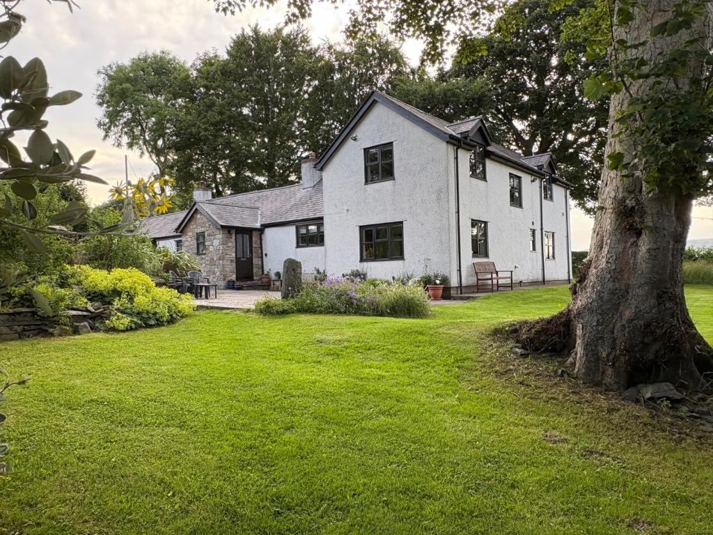 a white house with a tree in the yard at Garth Cottage in Denbigh