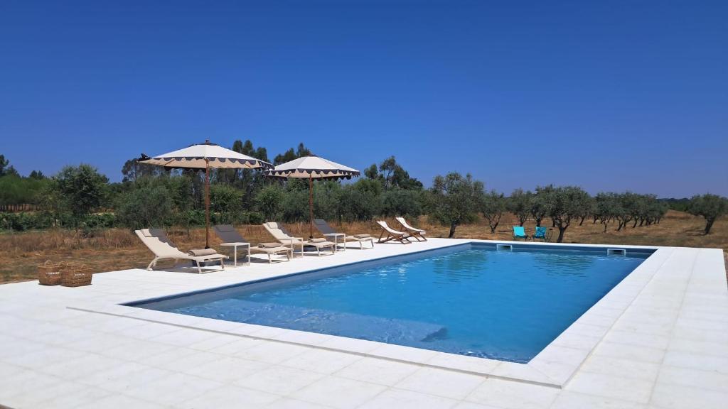 ein Swimmingpool mit Liegestühlen und Sonnenschirmen in der Unterkunft Villa das Oliveiras in Grândola