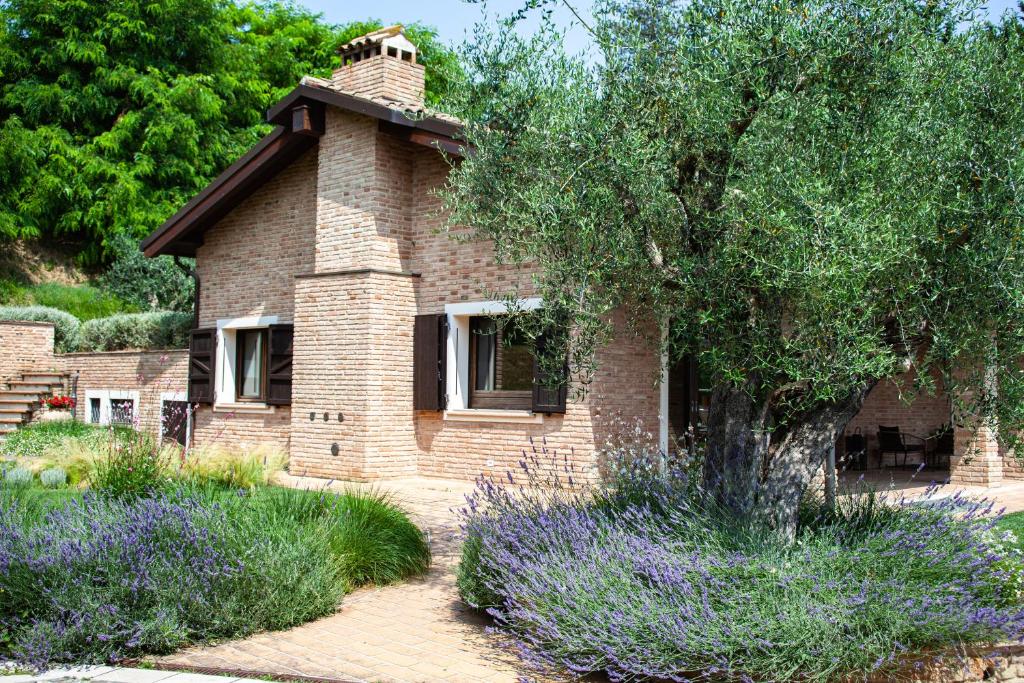 Resort Villa Paola