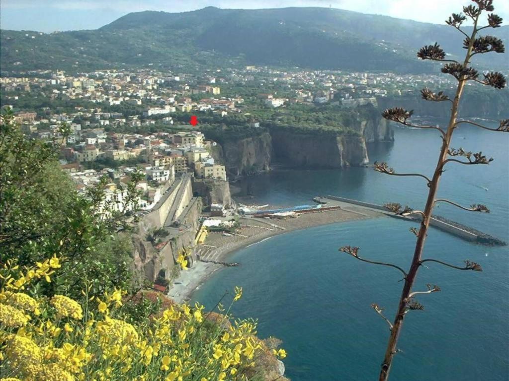 a view of a beach with a city and the ocean at cami sea apartment in Meta