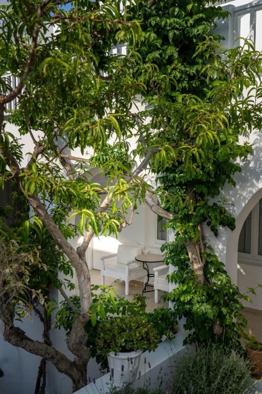 Aressana Spa Hotel & Suites - Small Luxury Hotels of the World - 15