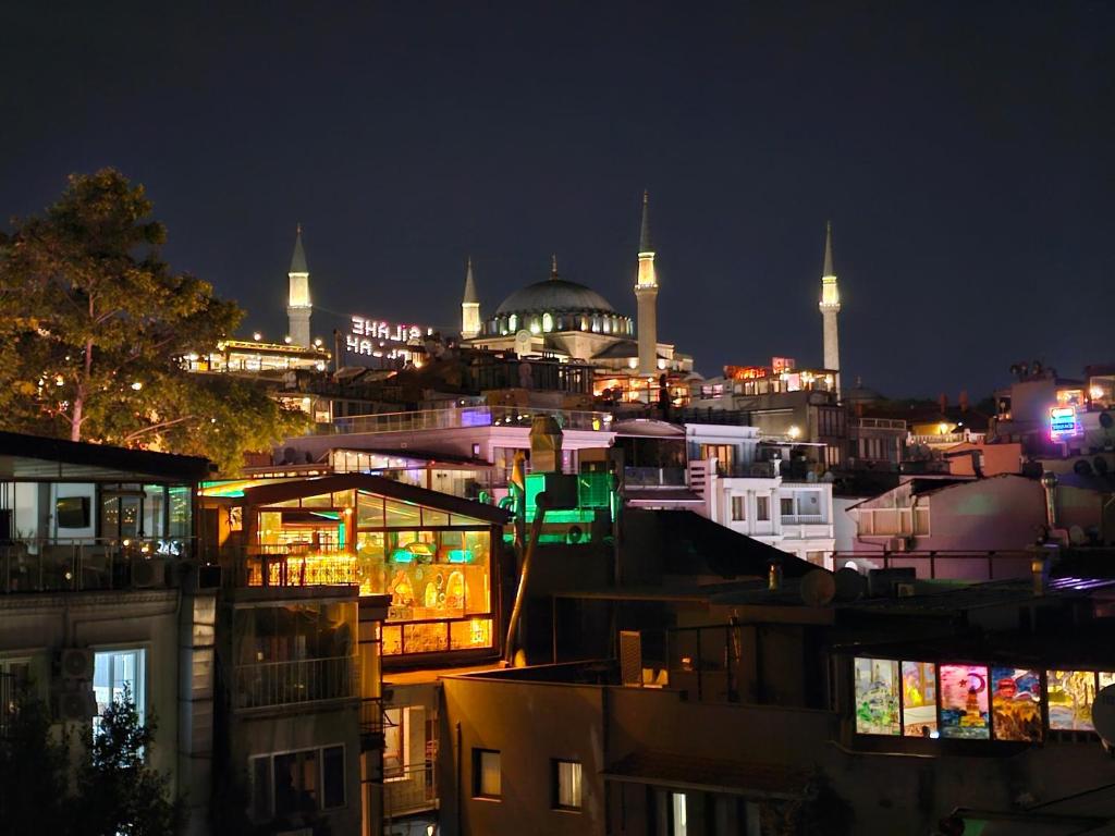 - Vistas a una ciudad por la noche con mezquitas en Hodegon Suite Hotel, en Estambul