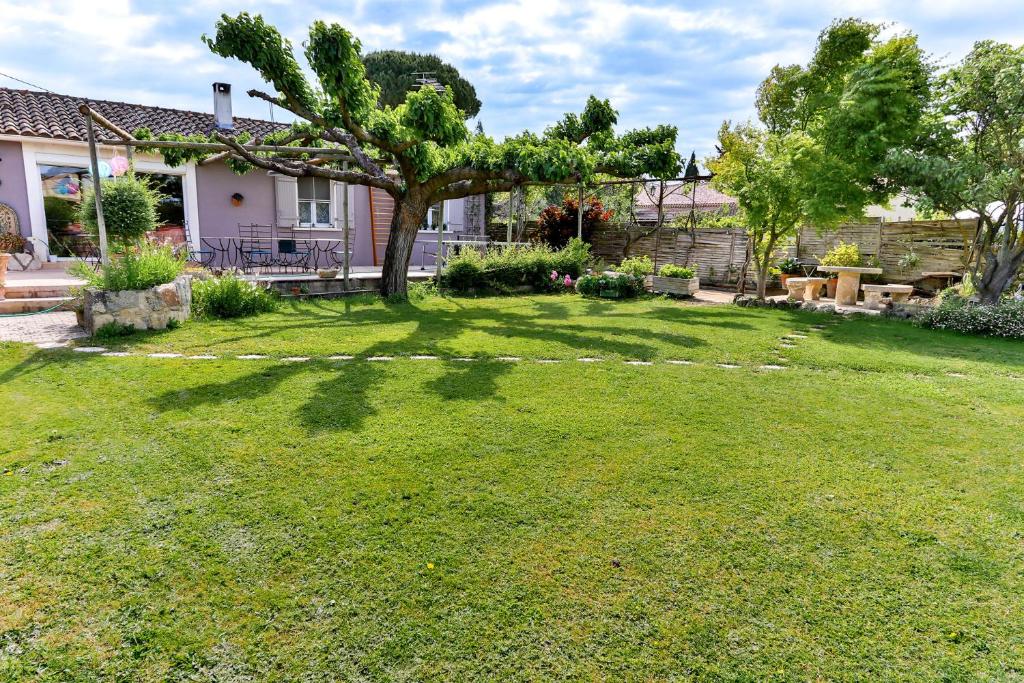 a yard with a tree and a house at La Maison du Mazet in Maillane