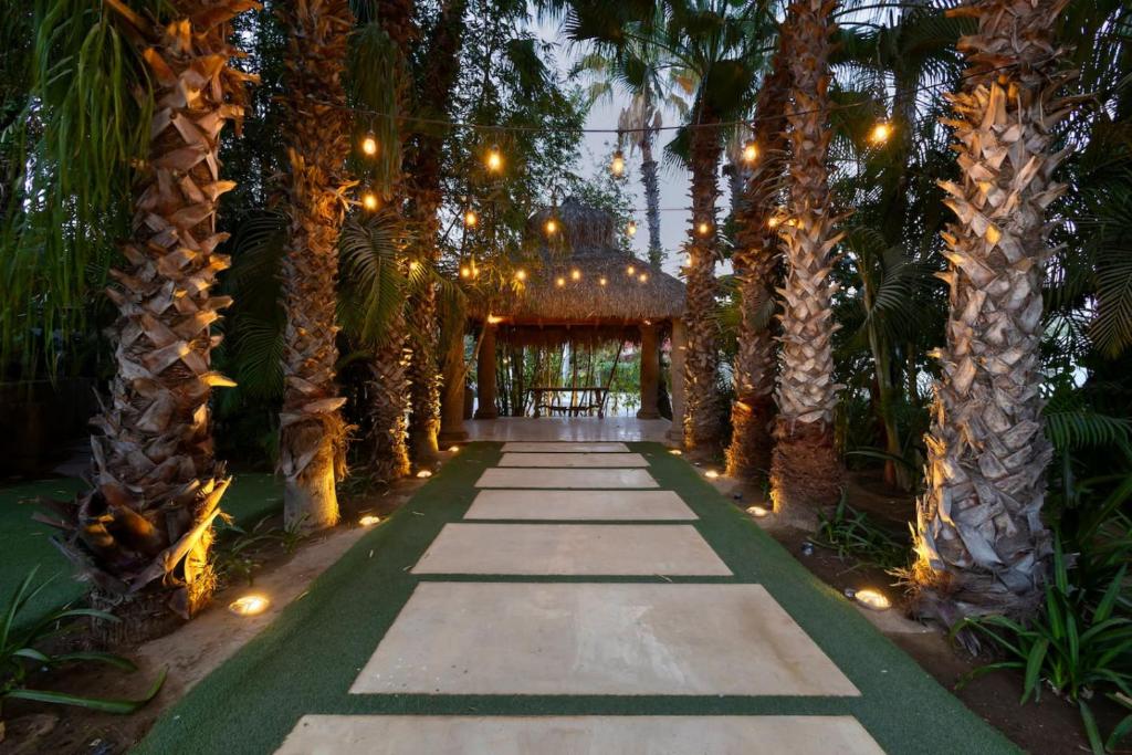 una passerella fiancheggiata da palme con luci di Hacienda Tropical - Oasis of History and Nature a San José del Cabo
