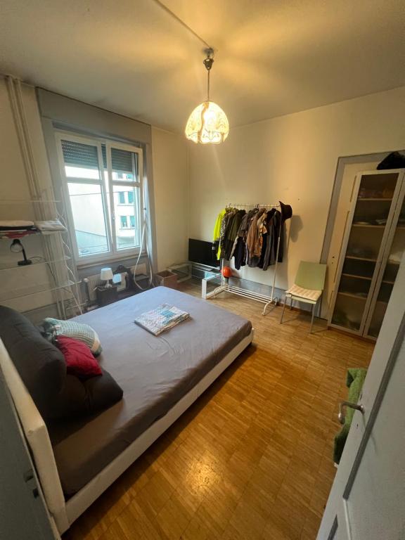 Rustic lakeside gem with rooftop looking to Zurich see - Resim 7