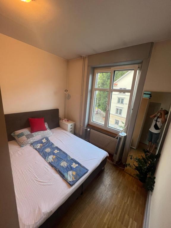 Rustic lakeside gem with rooftop looking to Zurich see - Resim 8