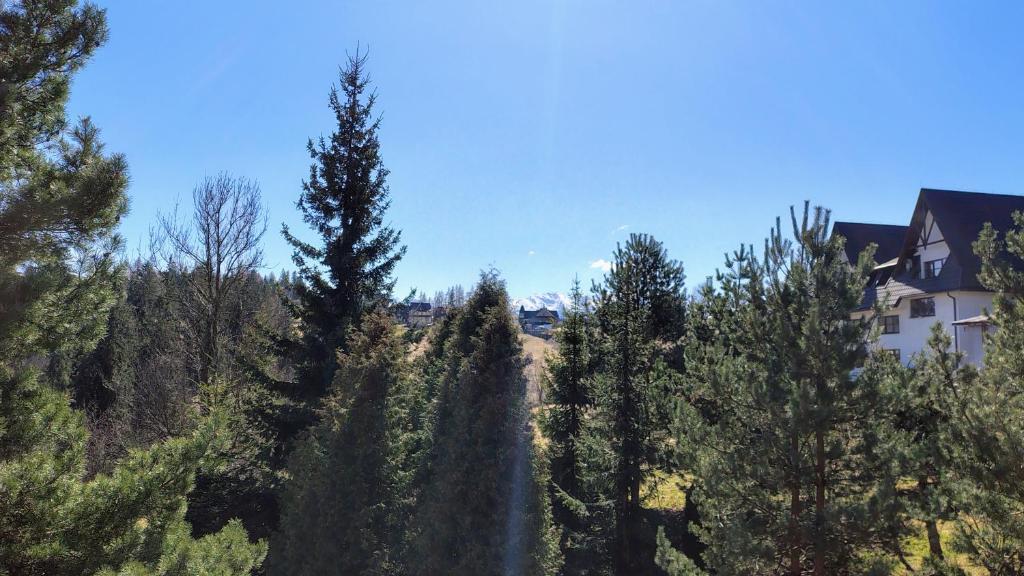 Pokoje Gościnne u Basi - 4