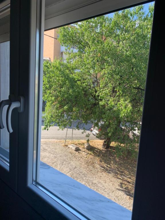 Φωτογραφία από το άλμπουμ του Cocktails & Dreams στην Αλεξανδρούπολη