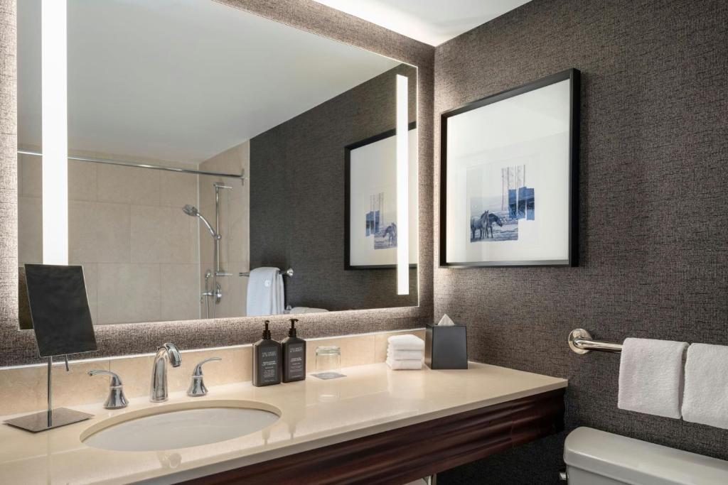 Sheraton Cavalier Calgary Hotel - Resim 18