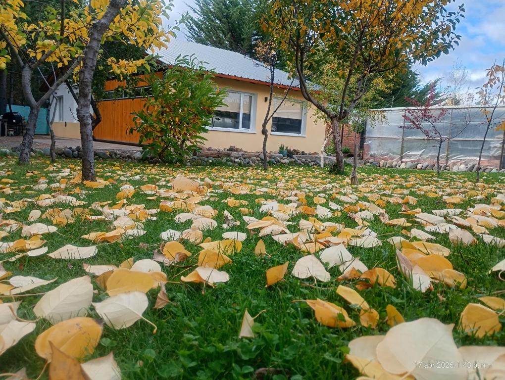 a field of umbrellas in the grass in front of a house at Quincho Coihues in Esquel
