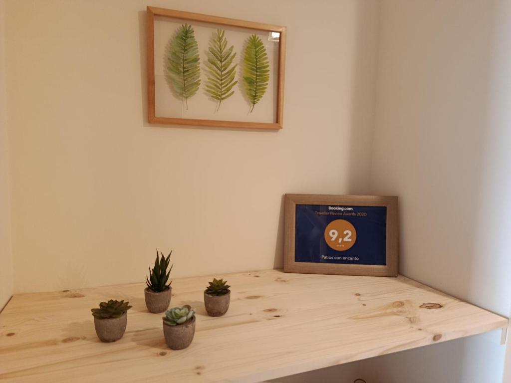 Patios con encanto - 15