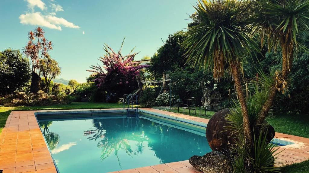 a swimming pool in a yard with a palm tree at Quinta de Souto Velho in Terras de Bouro