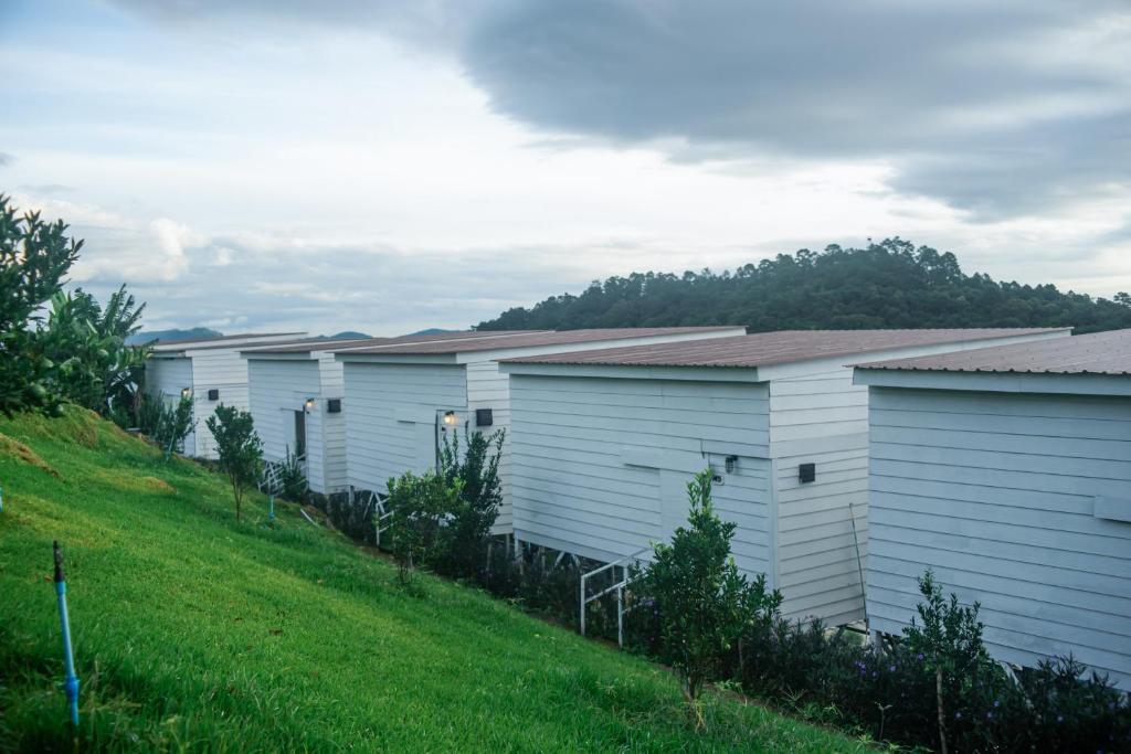 Ảnh trong thư viện ảnh của ไร่หมื่นล้านวิว เชียงใหม่ ở Ban Dong