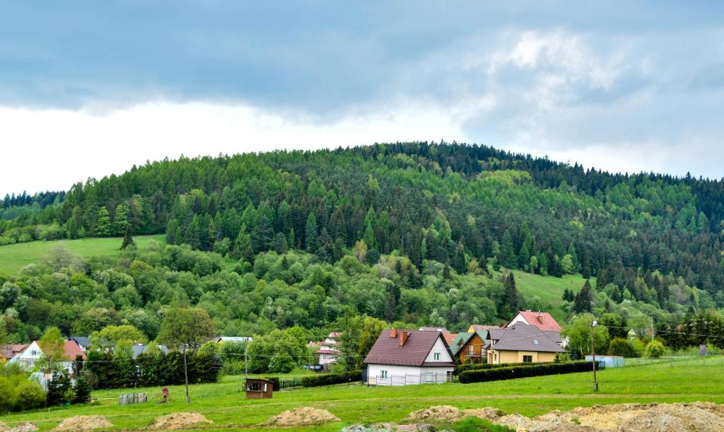 a group of houses in a field with a mountain at Apartament Pod Łanem in Tylicz