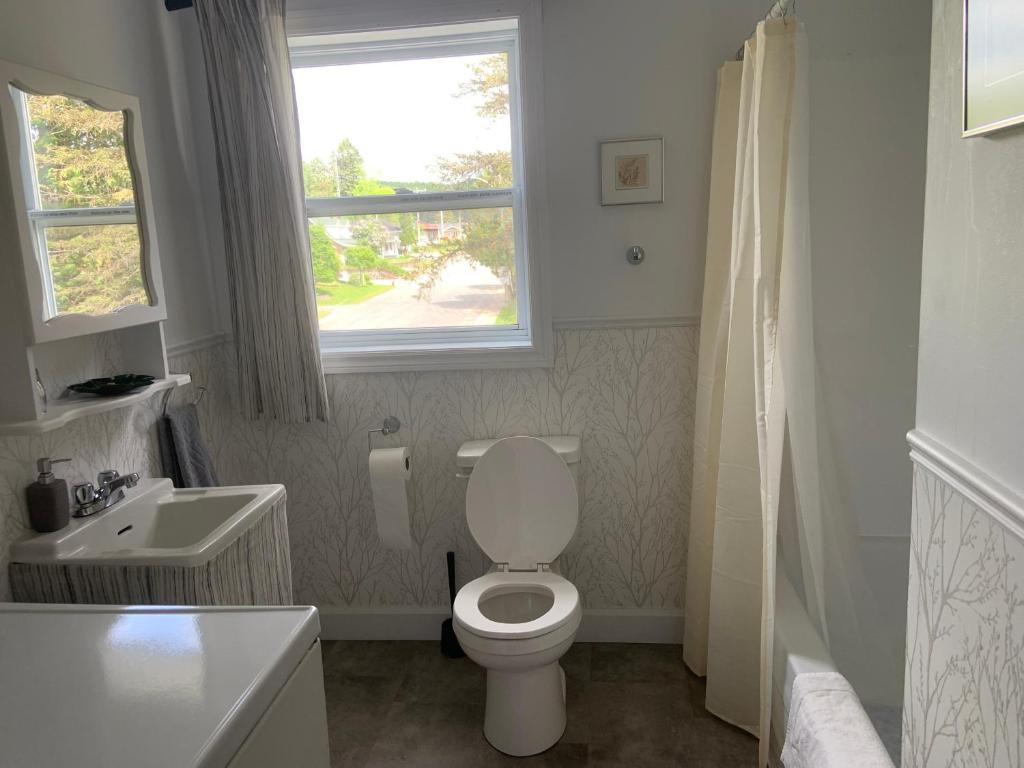 a bathroom with a toilet and a sink and a window at Le Petit Saint-Joseph in Saint-Alexis-des-Monts