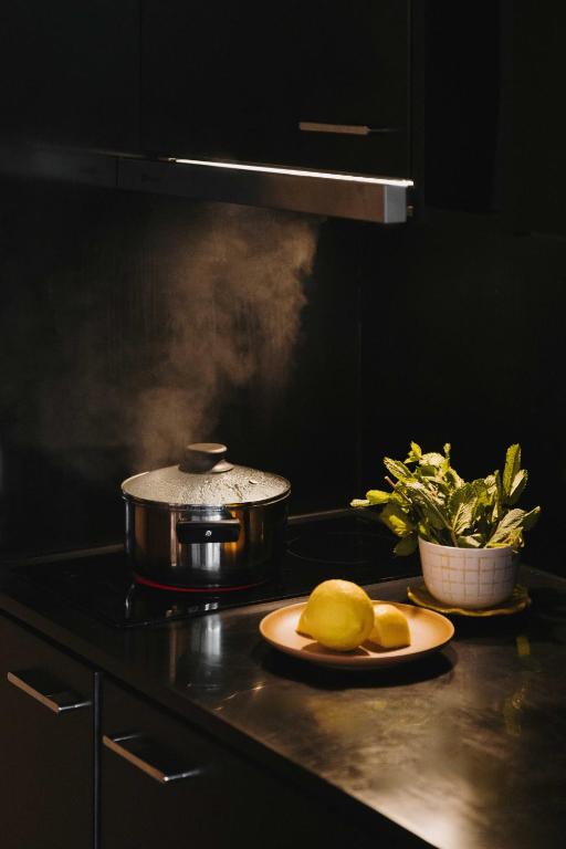 Timbre Boavista - Resim 40