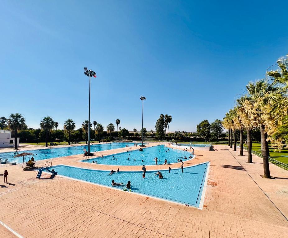 ein großer Swimmingpool mit Palmen in der Unterkunft Oak House in Reguengos de Monsaraz