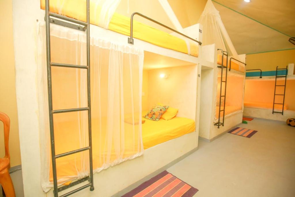 Katil atau katil-katil dalam bilik di Lazy Monkey Surfhostel - Sri Lanka