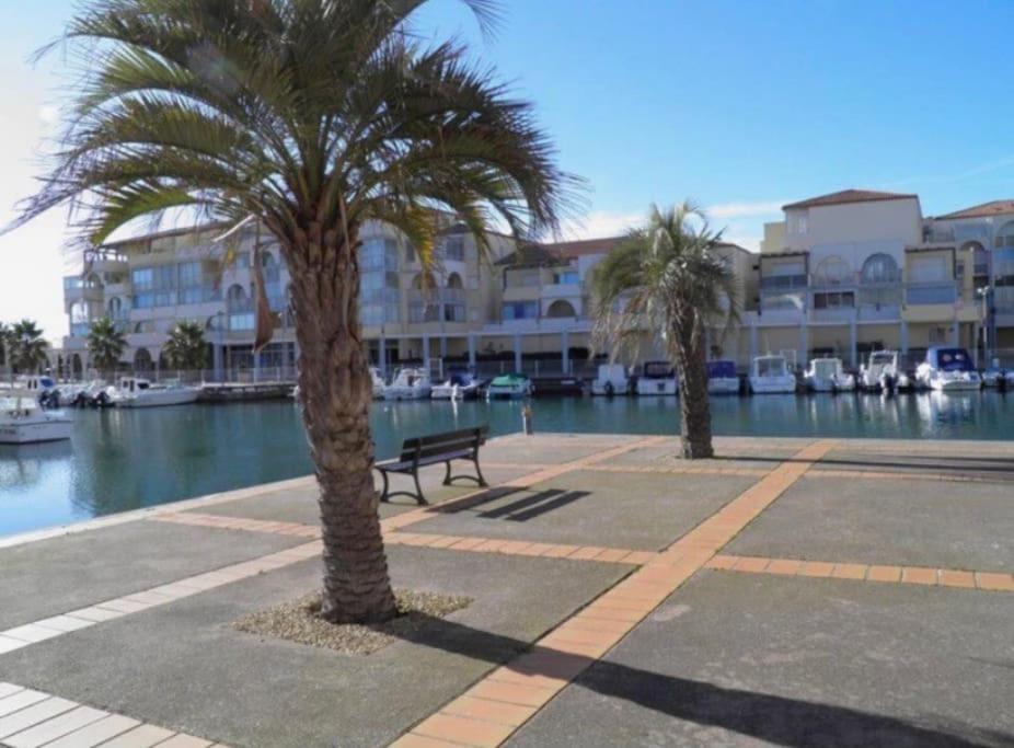 two palm trees and a bench in front of a marina at Joli appartement côté plages in Sète