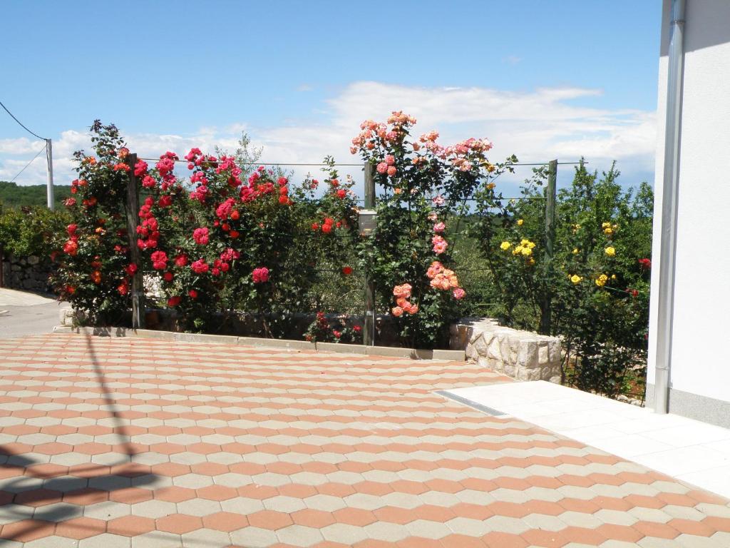 Zahrada ubytování Villa Roze