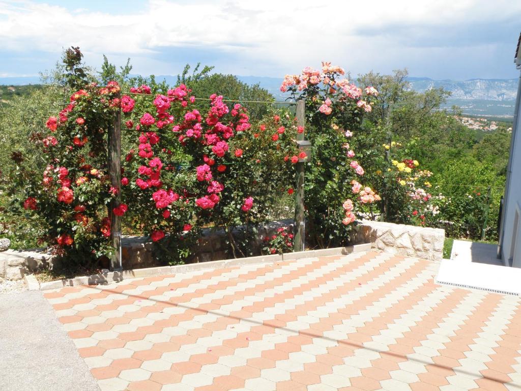 Zahrada ubytování Villa Roze