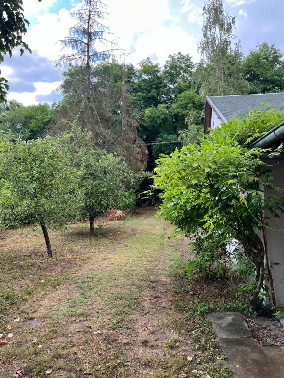 Aed väljaspool majutusasutust Sremac