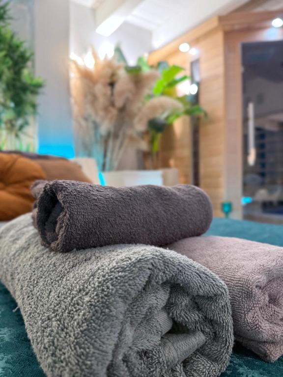 AMA Esclusive SPA Bologna