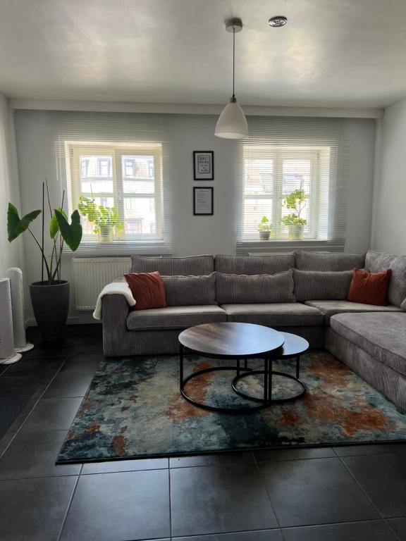 ヘントにあるApartment 202のソファとコーヒーテーブルのあるリビングルーム