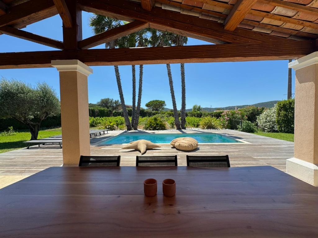 une piscine avec deux tortues allongées sur une terrasse en bois dans l'établissement Le Mas des Vignes, à Ramatuelle