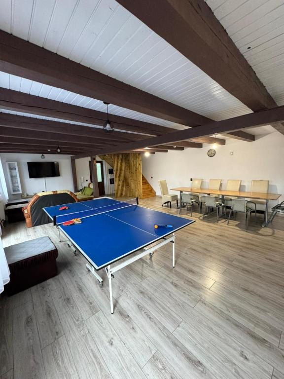 a large room with a ping pong table in it at Cabana Teo in Valea Ierii