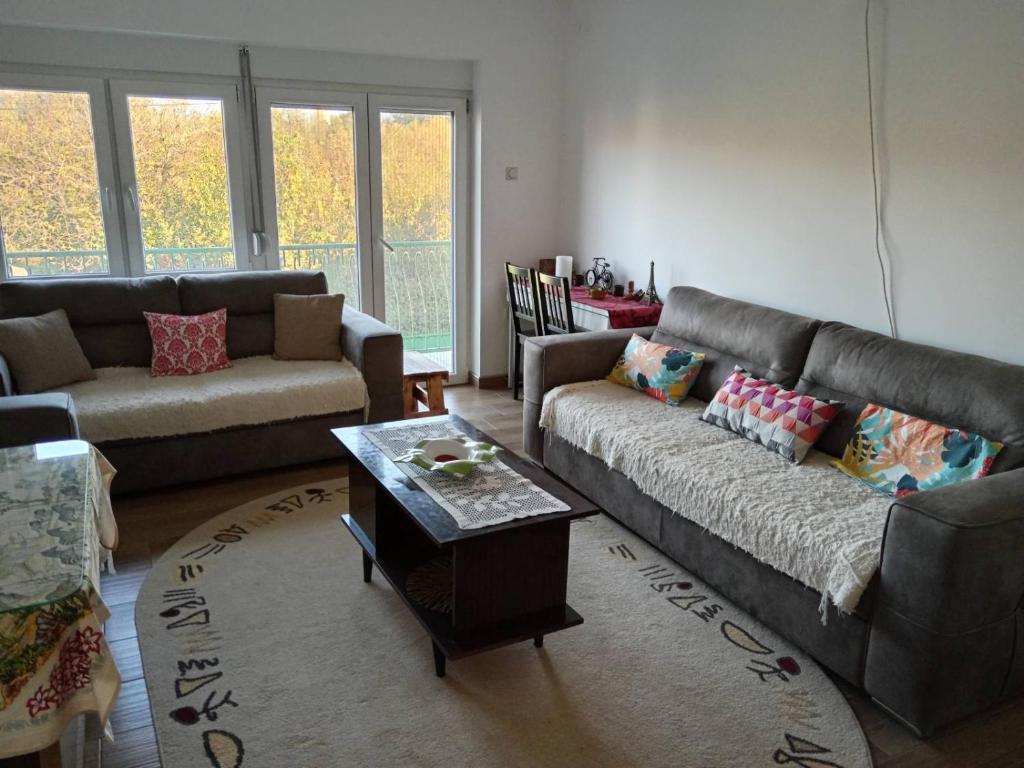a living room with two couches and a coffee table at Smeštaj Golubica in Soko Banja