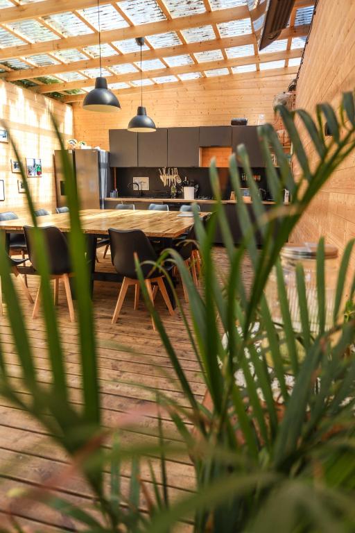 Klimatyzowane Surf Domki - Maszoperia Sun4Hel - Letnia Baza SnowShow na Półwyspie Helskim - 16